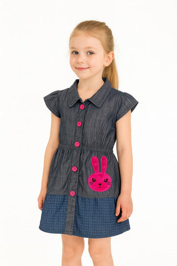 Kid Girl's Doll Embroidery Collar Dress | MH