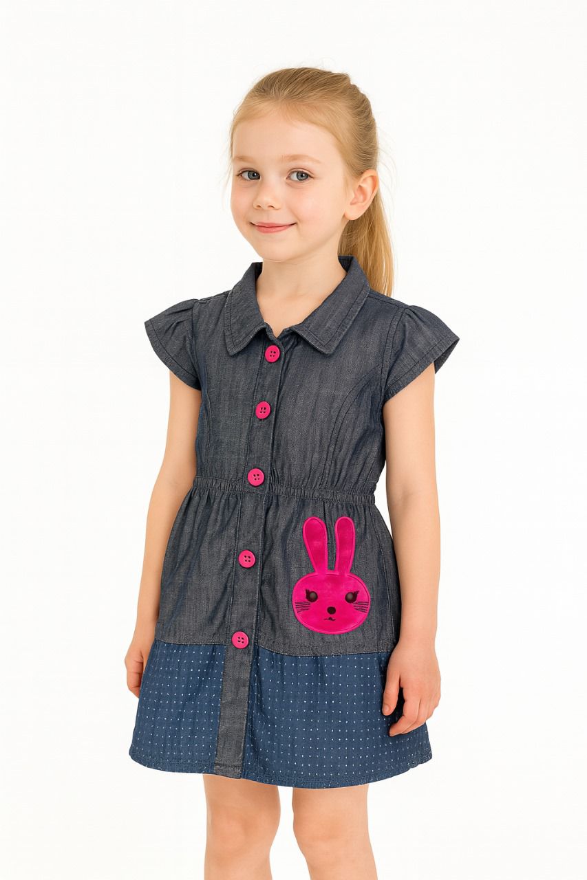 Kid Girl's Doll Embroidery Collar Dress | MH
