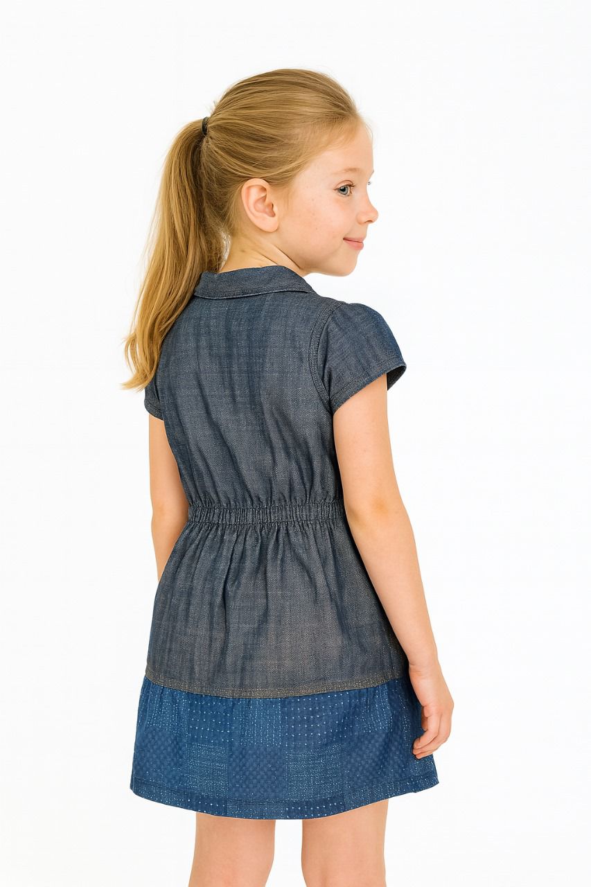 Kid Girl's Doll Embroidery Collar Dress | MH
